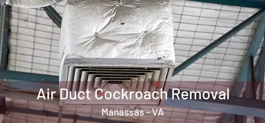  Air Duct Cockroach Removal Manassas - VA