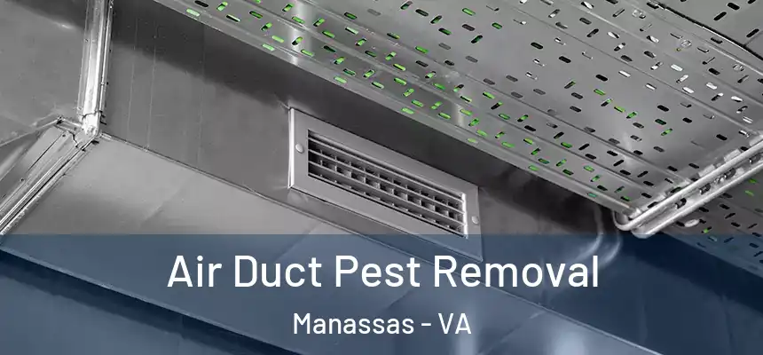  Air Duct Pest Removal Manassas - VA