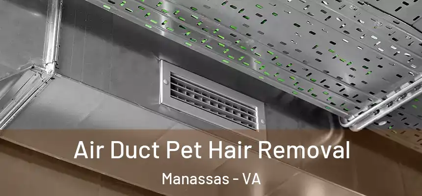  Air Duct Pet Hair Removal Manassas - VA