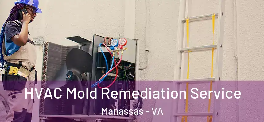  HVAC Mold Remediation Service Manassas - VA
