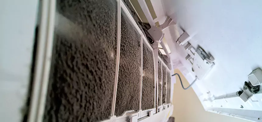 Preventive Air Duct Bacteria Removal in Manassas