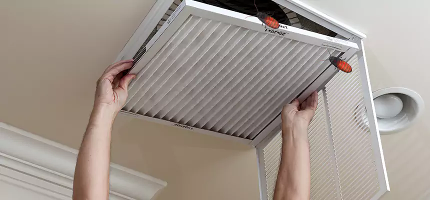 Preventive Cockroach-Proofing for Ducts in Manassas