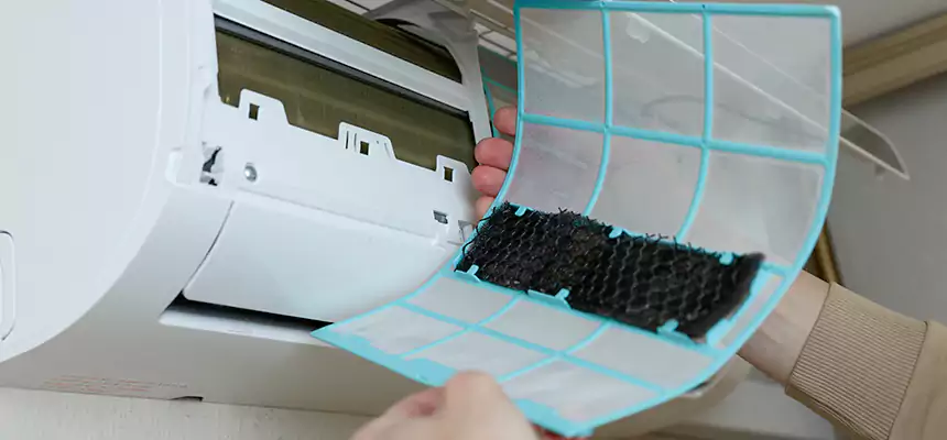 Gentle Ductwork Odor-Control Pet Dander Duct Cleaning in Manassas, VA