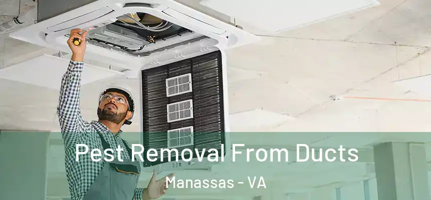  Pest Removal From Ducts Manassas - VA