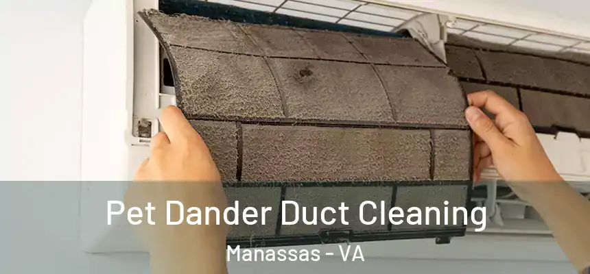  Pet Dander Duct Cleaning Manassas - VA