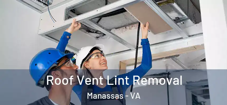  Roof Vent Lint Removal Manassas - VA