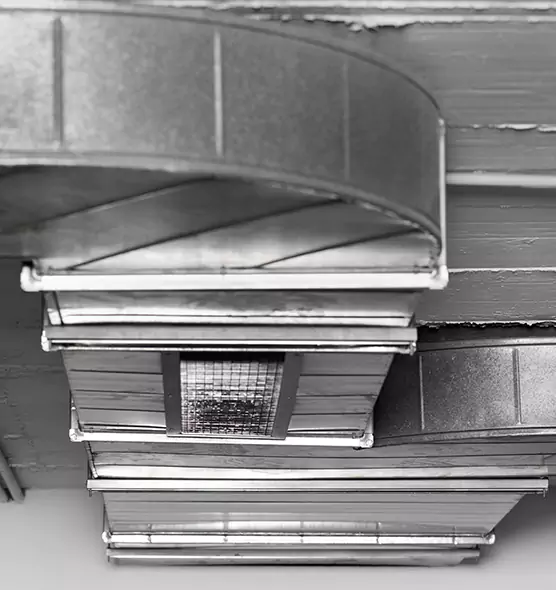 Professional Air Duct Pet Hair Removal in Manassas, VA