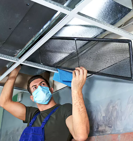 Professional Air Duct Pollen Cleaning in Manassas, VA