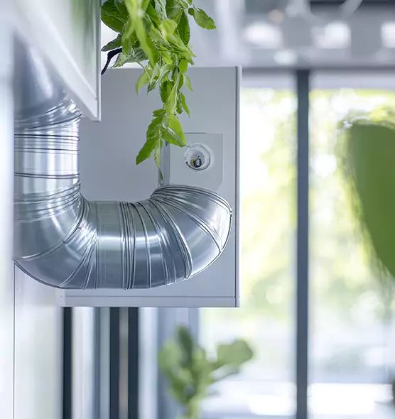 Professional Eco-Friendly Duct Cleaning Services in Manassas, VA