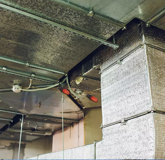 Why Homeowners & Businesses Trust Us Manassas, VA?